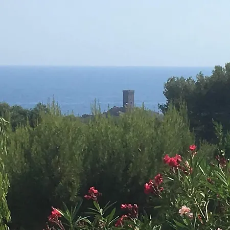 Cap Esterel Ile D'or Dans Village De Apartment